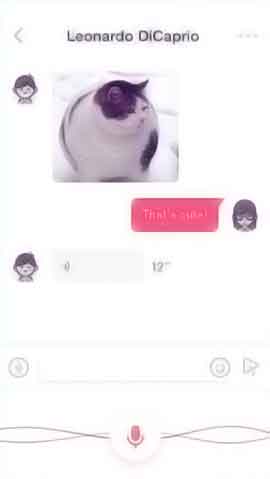 DDOS在线压力测试软件程序维护界面